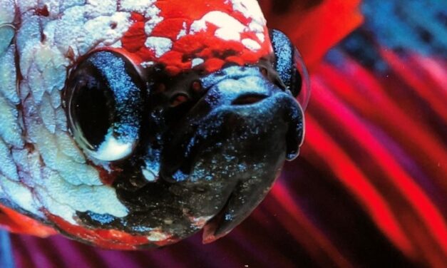 Read our latest Annual Report