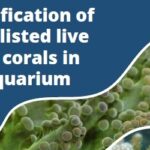 Comprehensive CITES coral ID guide now available