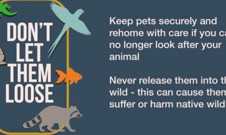 Support Don’t Let Them Loose!