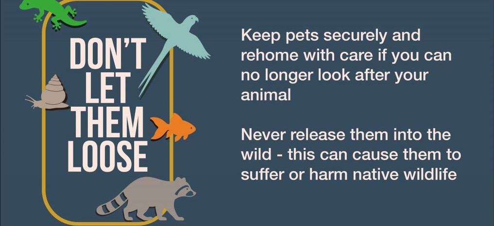 Support Don’t Let Them Loose!