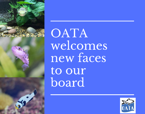 OATA AGM confirms Directors for the next year