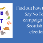 OATA launches joint Scottish & Welsh election manifesto