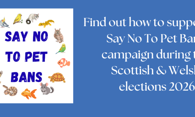 OATA launches joint Scottish & Welsh election manifesto