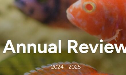 Read our latest Annual Report