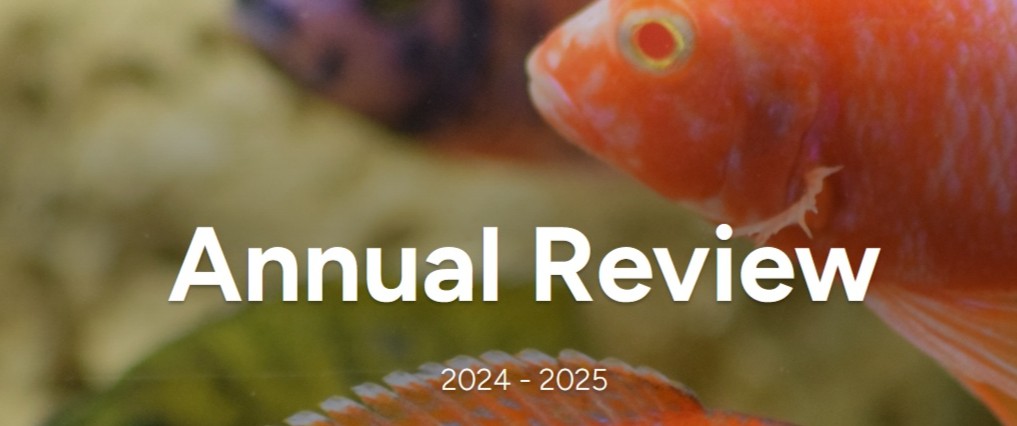 Read our latest Annual Report