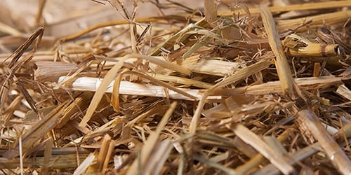 Chopped barley straw is not a biocide, confirms HSE