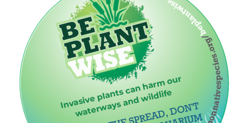 Be Plant Wise & help spread the message
