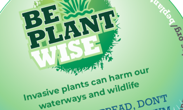 Be Plant Wise during pond season