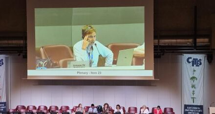 OATA represents industry at CITES Animals Committee 2026
