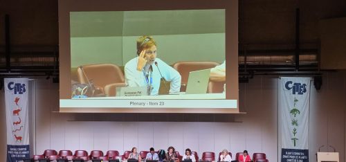 OATA represents industry at CITES Animals Committee 2026