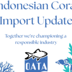 Indonesian coral import change