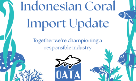 Indonesian coral import change