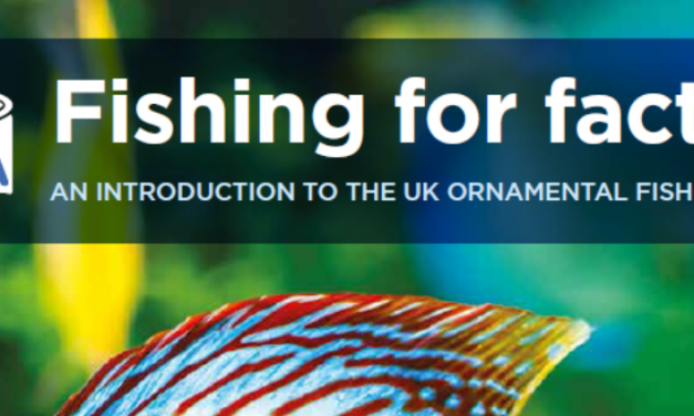 New Fishing For Facts report lands with UK politicians