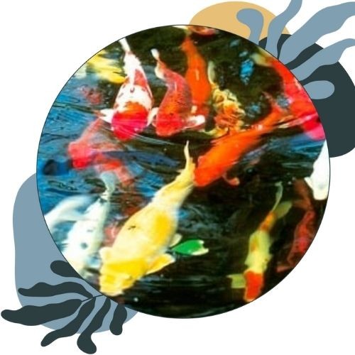 Untitled design - 1