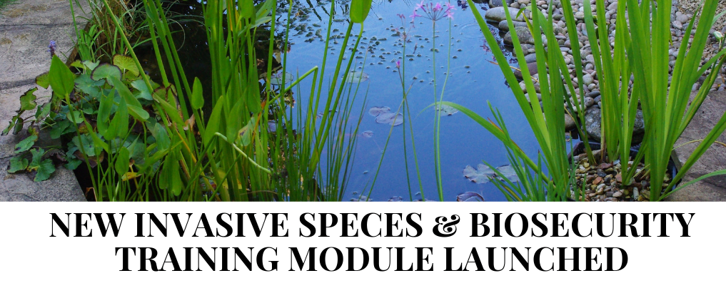 New training launched for Invasive Species Week