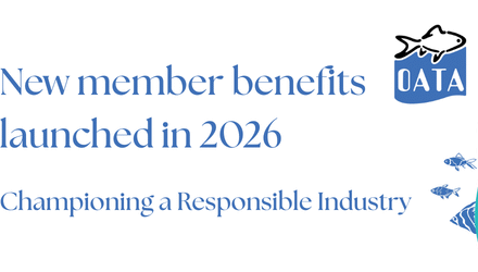 New member benefits for 2026