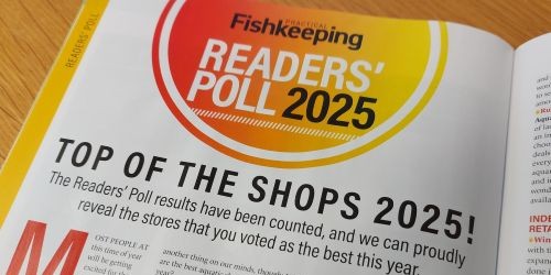 Celebrating good aquatics shops