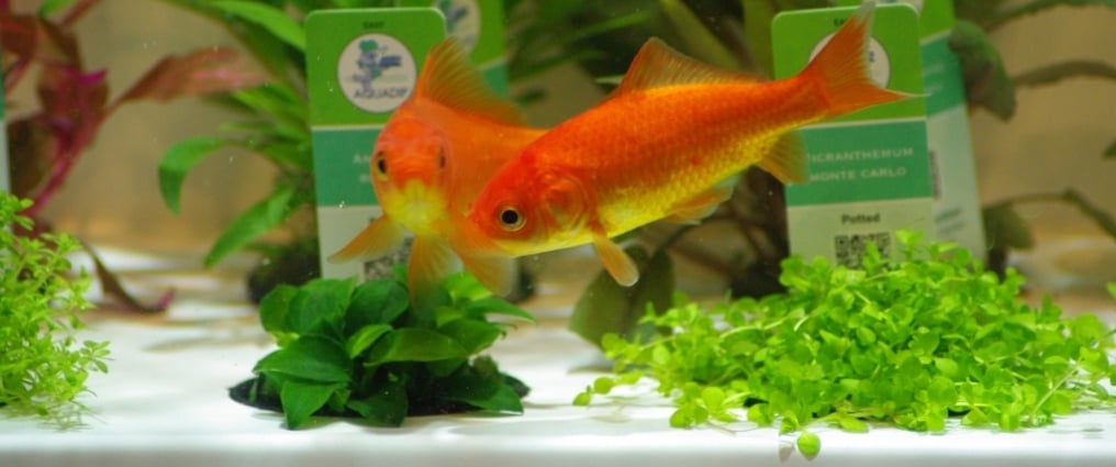 What’s changing in how we do business with the EU?