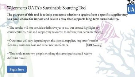 New online tool to help businesses make sustainable livestock choices