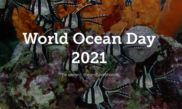 World Ocean Day